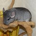 Chinchilla standard