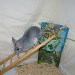 Chinchilla Diamant Bleu