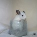 Chinchilla Blanc Wilson