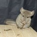 Chinchilla Beige Tower